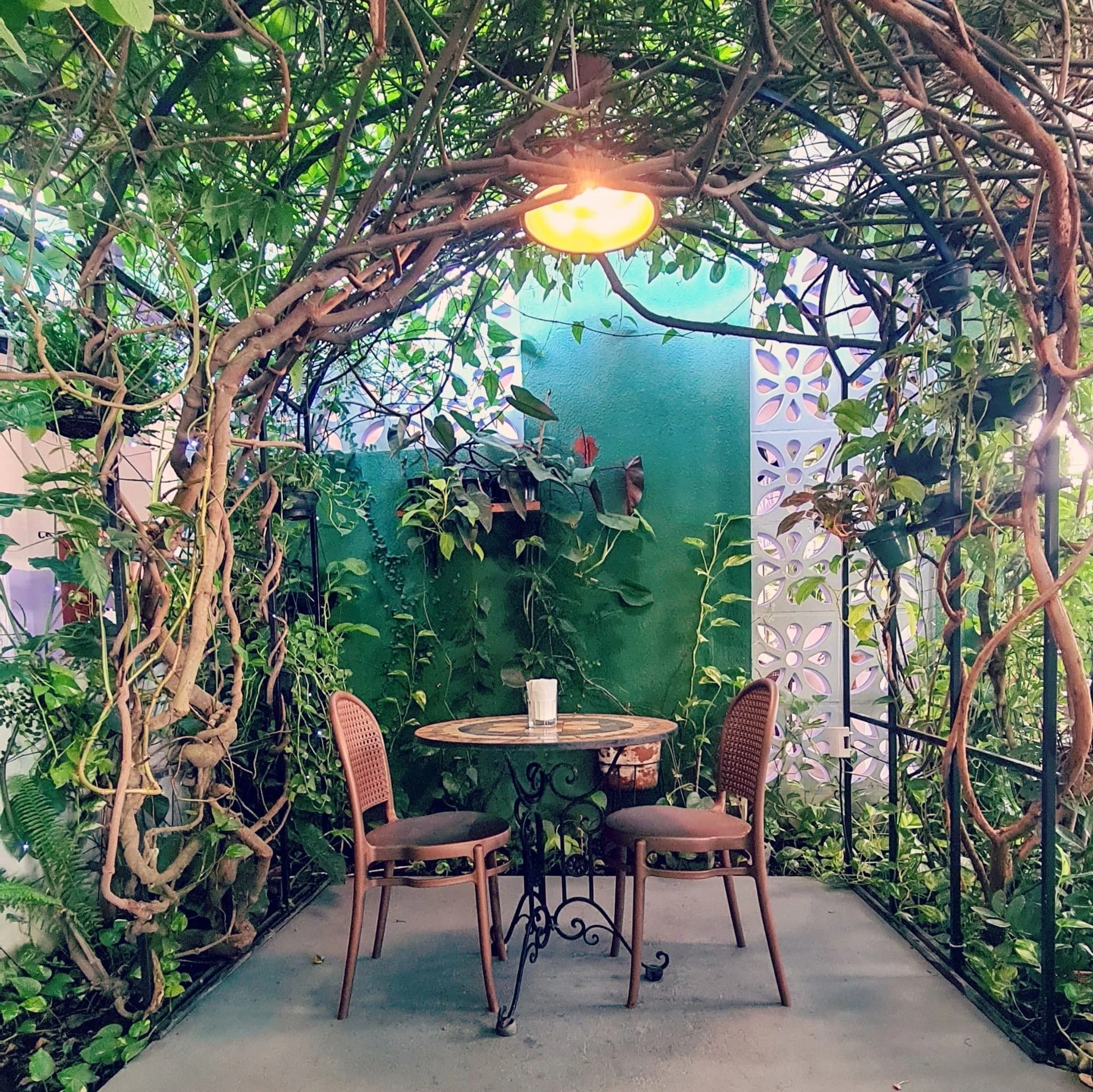 Ambiente acolhedor do restaurante Massa Grossa