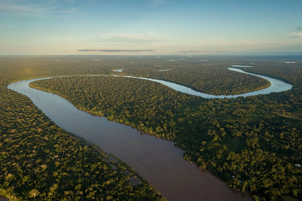 Vegetação densa da Amazônia Maranhense