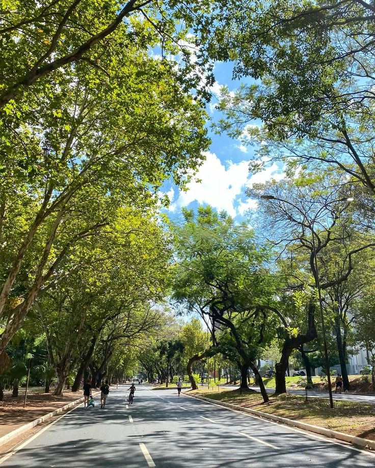 Família caminhando em um bairro arborizado