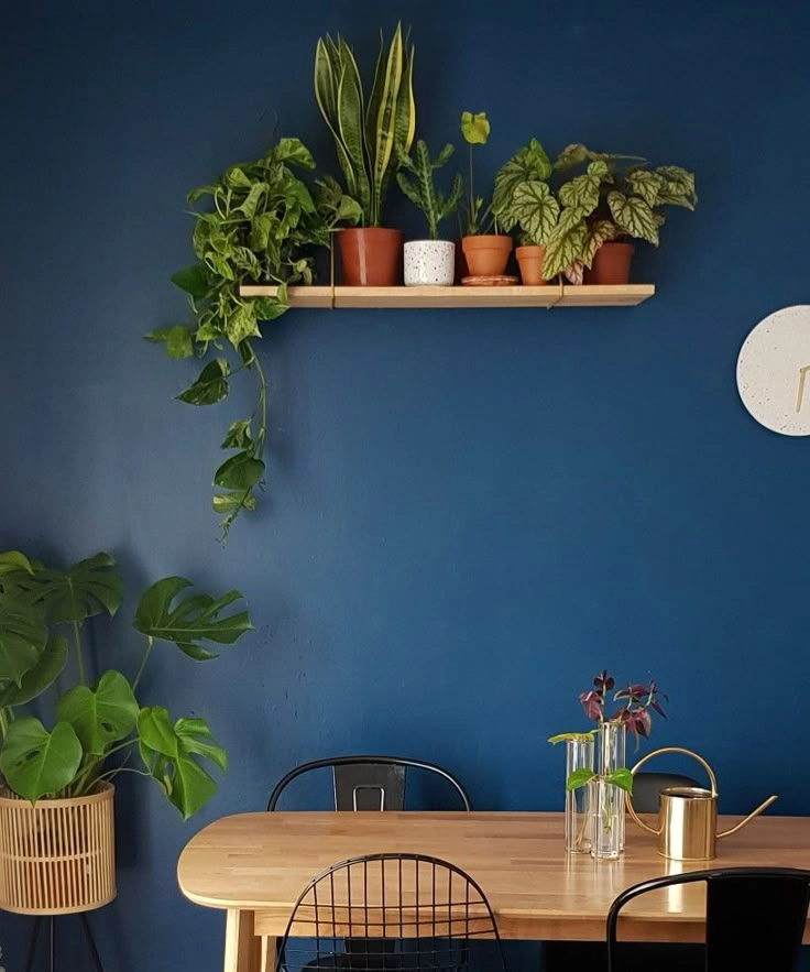 Vasos de plantas decorando uma sala com luz natural